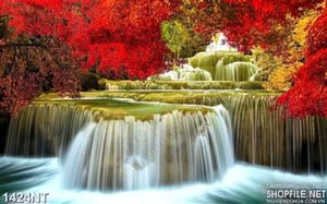 Tranh bậc thang thác nước
