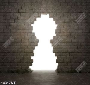Tranh bức tường gạch 