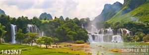 Tranh toàn cảnh khu rừng