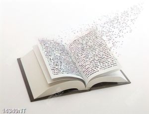 Tranh quyển sách nghệ thuật 14340NT