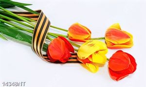Tranh hoa tulip 