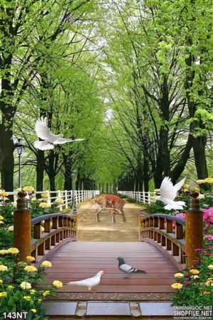 Tranh cây cầu đi vào ku rừng