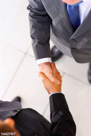 Tranh bắt tay hợp tác 14427NT