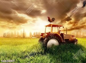 Tranh nghệ thuật cỏ xanh và bầu trời