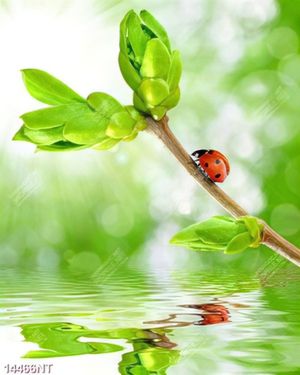 Tranh green