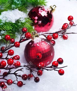 Tranh noel 14495NT