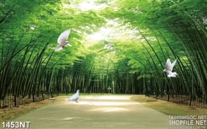 Tranh đường tre xanh in uv
