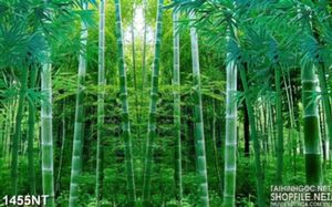 Tranh rừng trúc 3d
