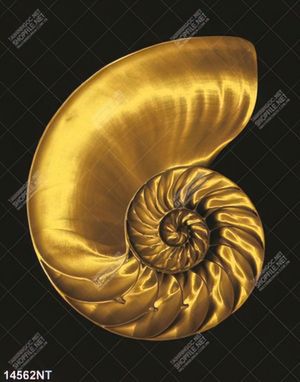Trabg vòng soắn ốc màu vàng gold