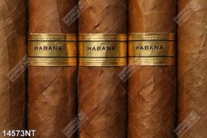 Tranh xì gà thượng hạng Habana