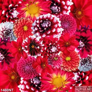Tranh hoa cúc đỏ