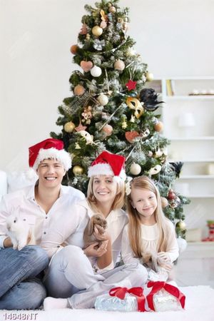 Tranh gia đình bên cây thông noel 