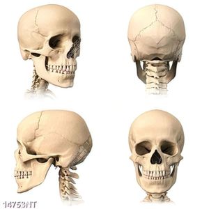 Tranh đầu lâu 14753NT