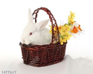 Tranh chú thỏ trắng ngồi trong giỏ