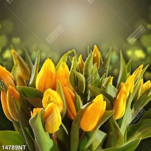 Tranh hoa tulip vàng 14789NT