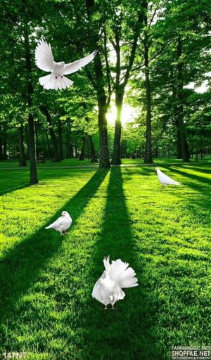 Tranh phong cảnh khu rừng và chim bồ câu