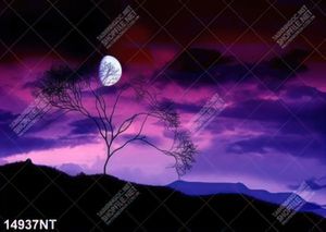Tranh bầu trời tím  