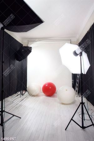 Tranh studio chụp hình 14964NT
