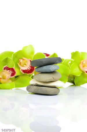 Tranh hoa lan và sỏi 
