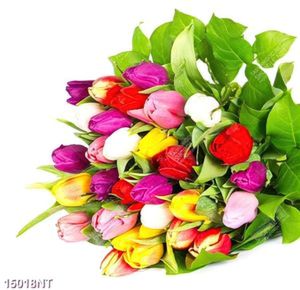 Tranh hoa tulip 15018NT