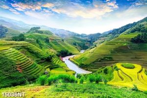 Tranh phong cảnh ruộng bậc thang 15036NT