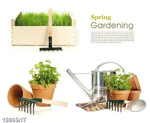 Tranh Spring Gardening