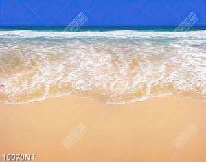 Tranh bãi biển đẹp 15070NT