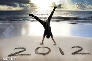 Tranh 2012