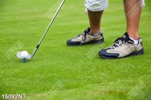 Tranh đánh golf
