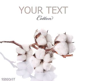 Tranh cotton