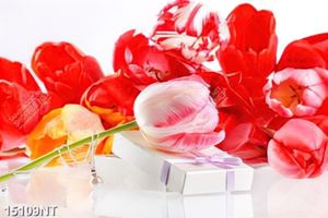Tranh hoa tulip 15109NT