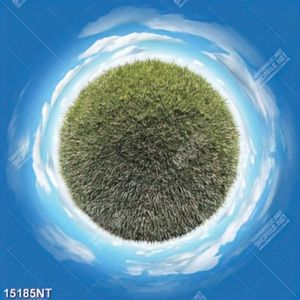 Tranh quả cầu cỏ xanh 15185NT
