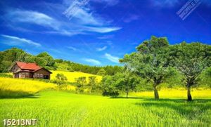 Tranh ngôi nhà trên đồi cỏ xanh