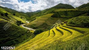 Tranh phong cảnh ruộng bậc thang 15225NT