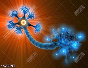 Tranh nghệ thuật 15239NT