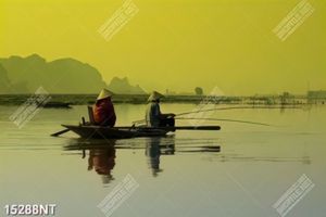 Tranh sông nước đẹp yên bình 