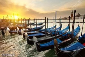 Tranh thuyền neo đậu gần bờ