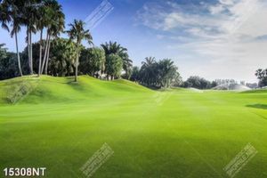 Tranh sân cỏ xanh