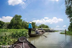 Tranh sông nước miền Tây 15403NT