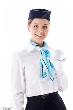 Tranh nữ tiếp viên hàng không xinh đẹp 
