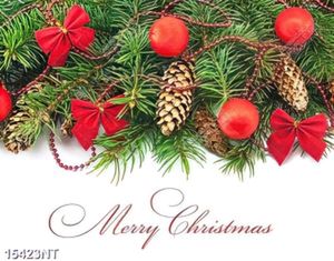 Tranh merry christmas 15423NT