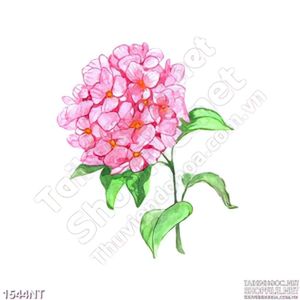 Tranh bông hồng cô đơn