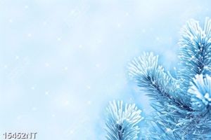 Tranh cây thông noel 15452NT