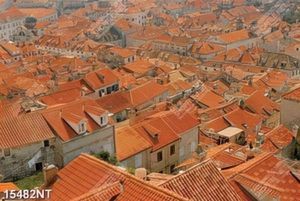 Tranh những ngôi nhà mái đỏ
