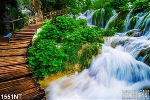 Tranh cây cầu thác đổ