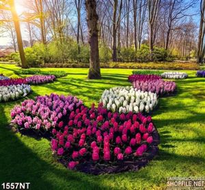 Tranh hoa tulip trong rừng