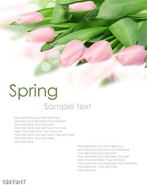 Tranh hoa tu lip 15619NT