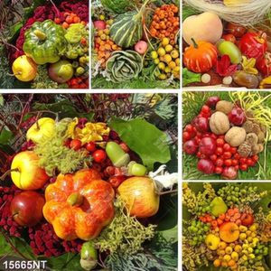 Tranh ghép các loại rau củ quả chín đỏ
