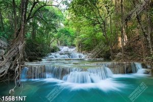 Tranh thác nước trong rừng xanh 15681NT