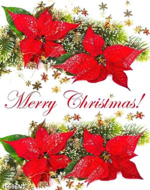 Tranh merry christmas 15696NT